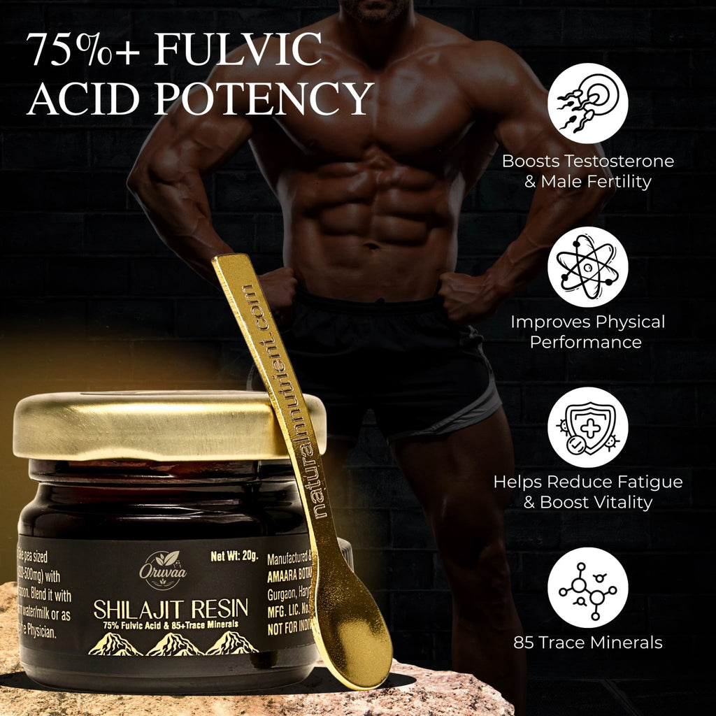 Premium Shilajit Resin - 20g